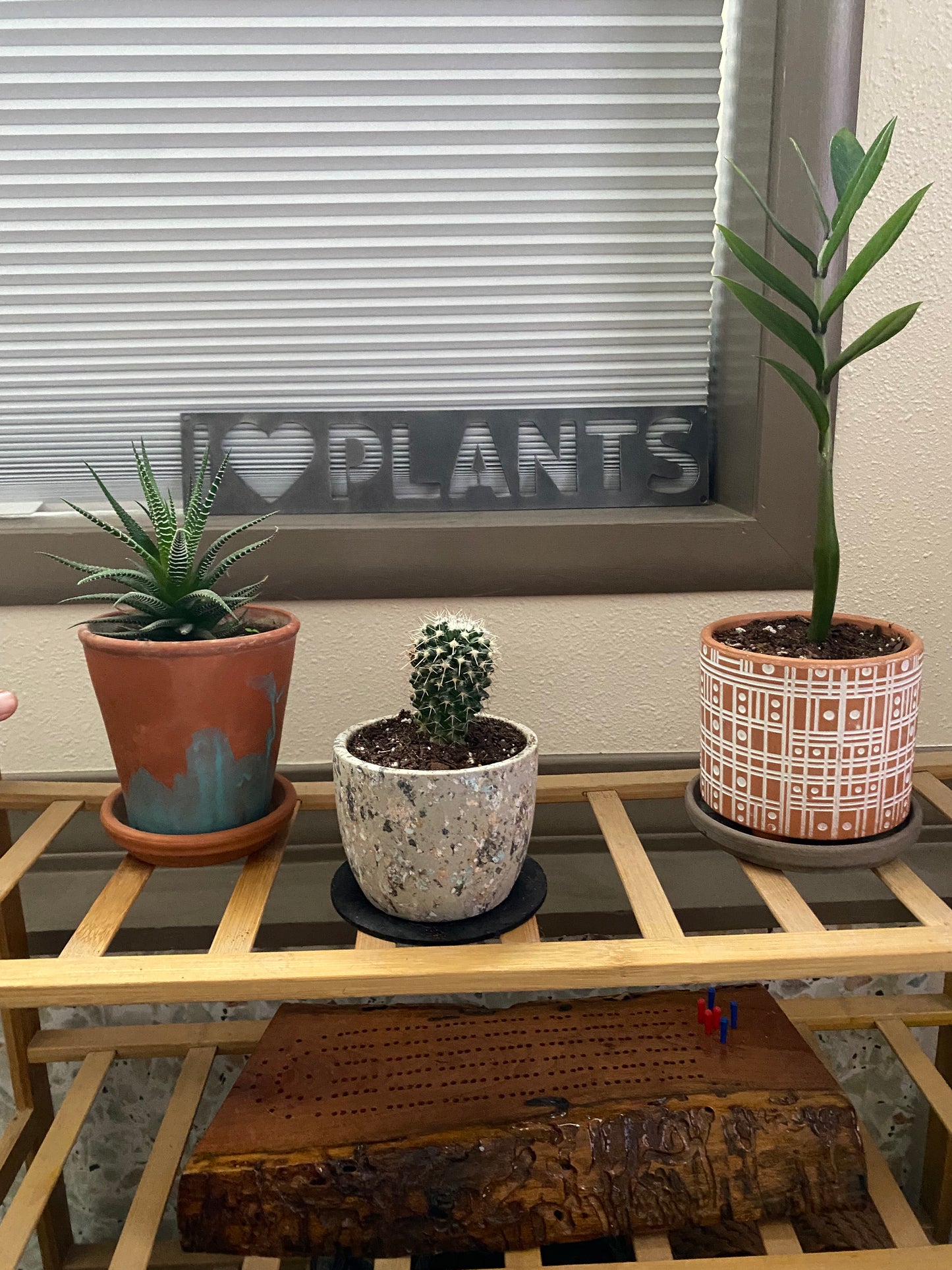 I Heart Plants